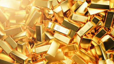 Different Types of IRA Companies Available